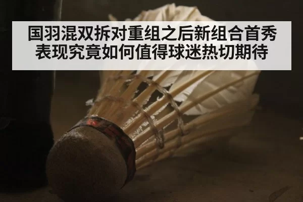 国羽混双拆对重组之后新组合首秀表现究竟如何值得球迷热切期待